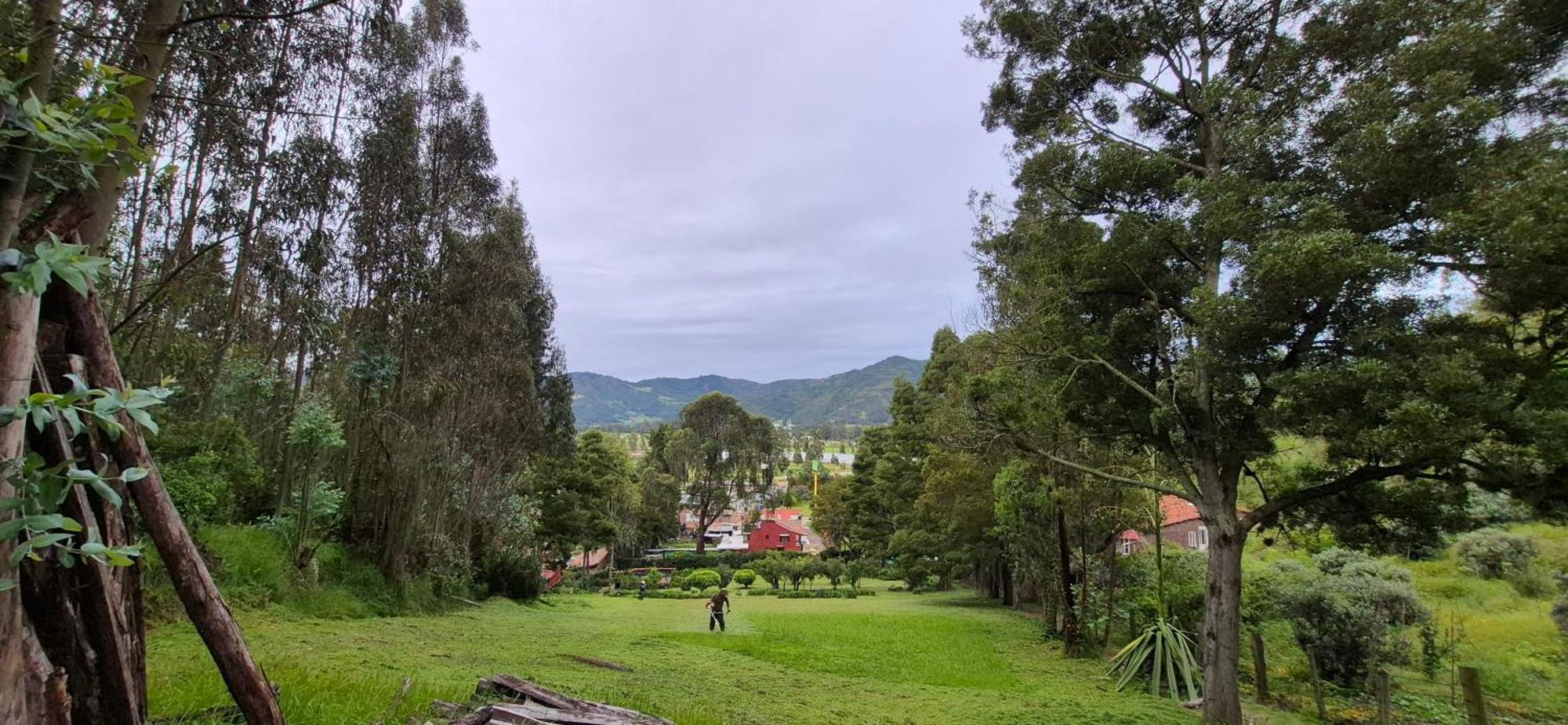 La Mara * Tibasosa