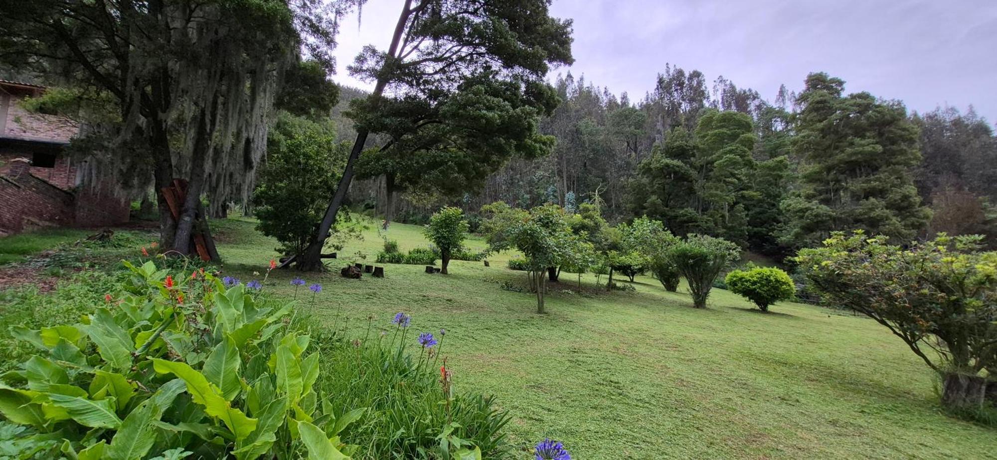 La Mara