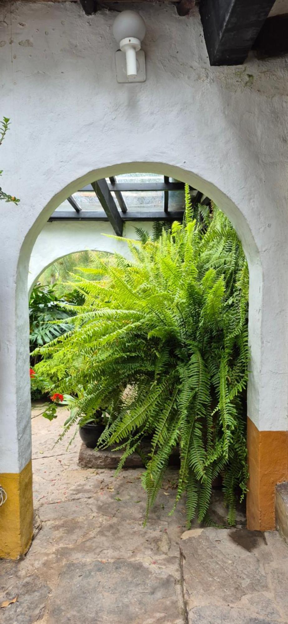 La Mara Landhaus *