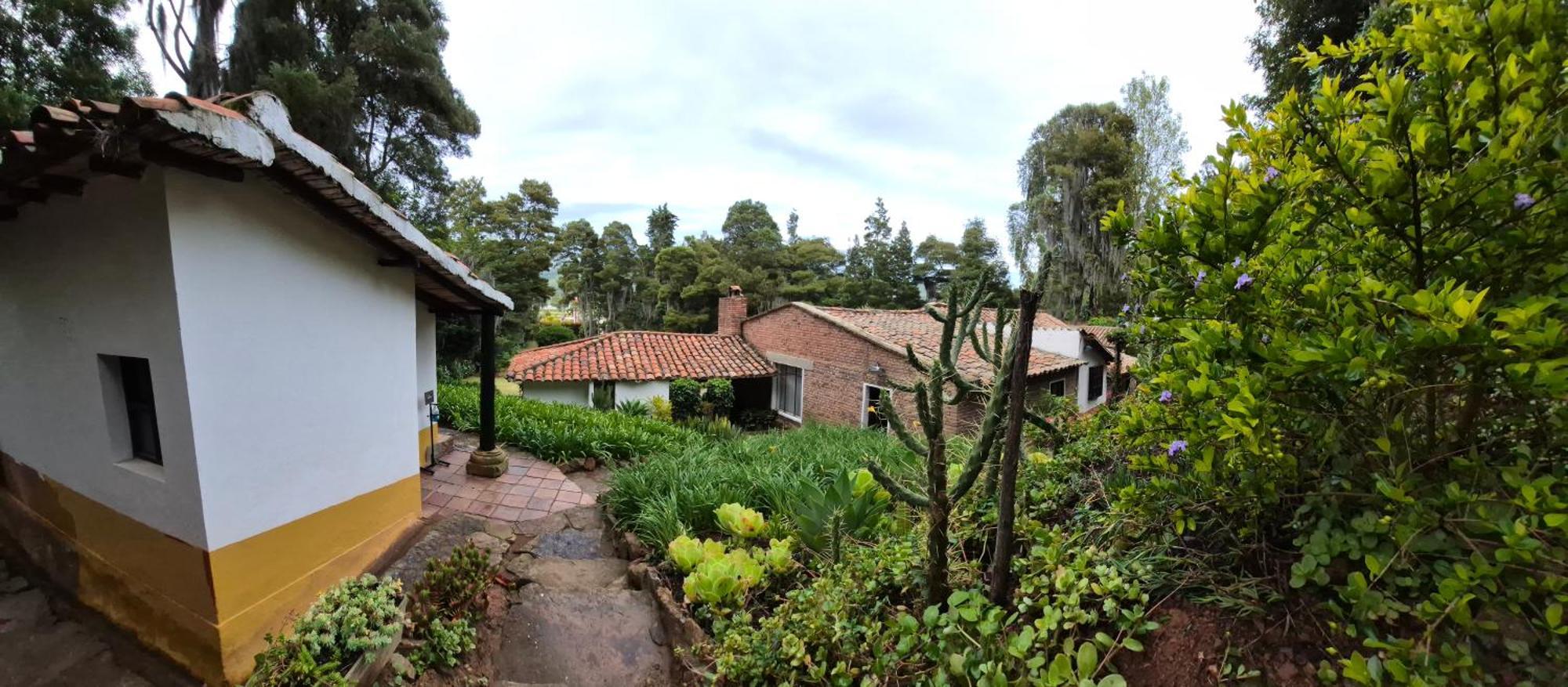 La Mara