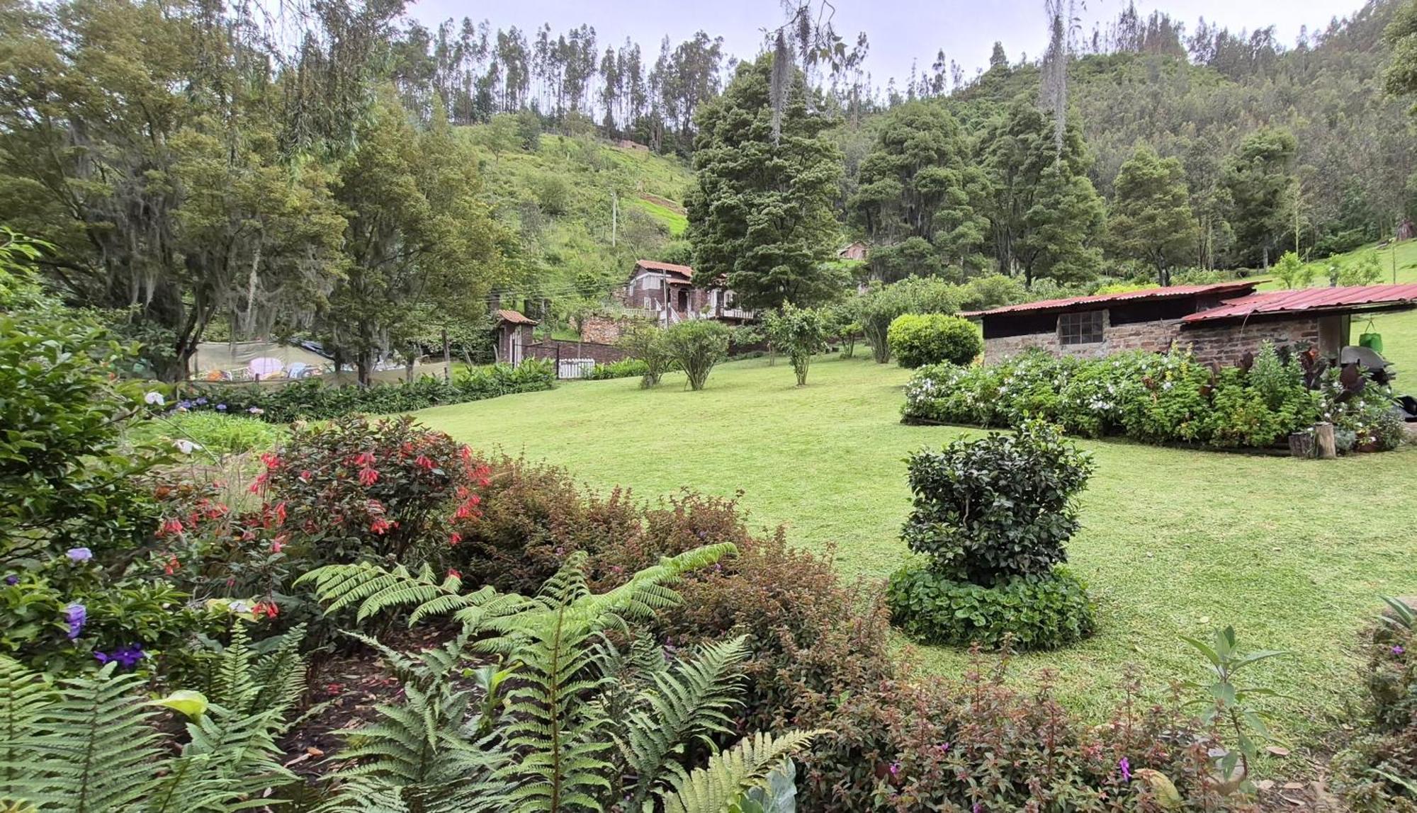 La Mara